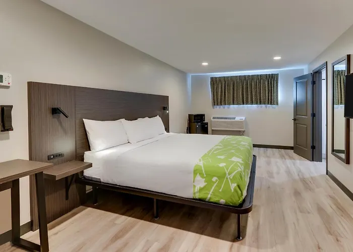 The Shamrock Hotel
