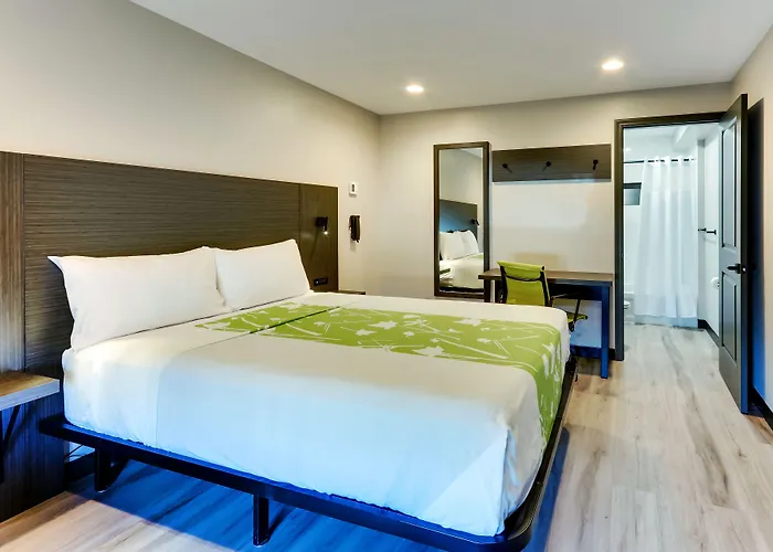 The Shamrock Hotel