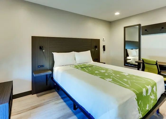 The Shamrock Hotel 3*