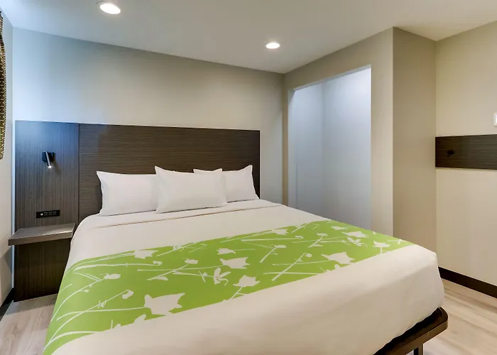 Hotel The Shamrock Cicero
